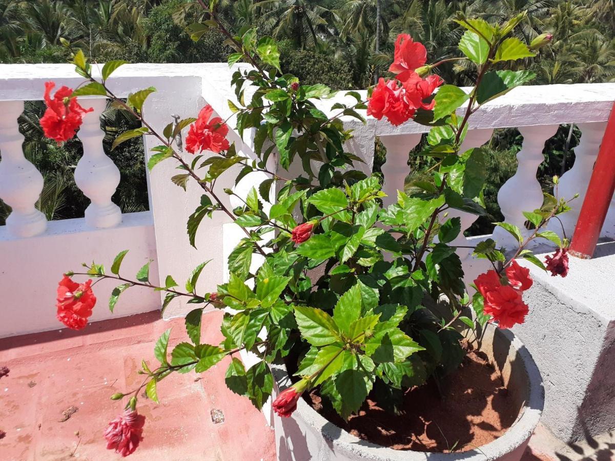 Holi-Wood Guesthouse Puducherry Exterior foto